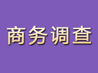 江宁商务调查